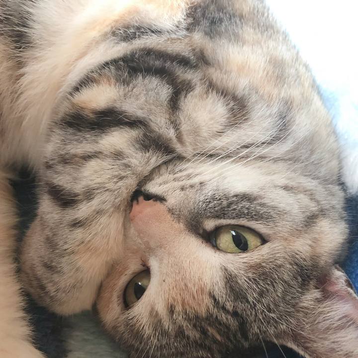 5aa2a156 d6e2 4c49 b05b e7bbfebe06ad 1556158702821