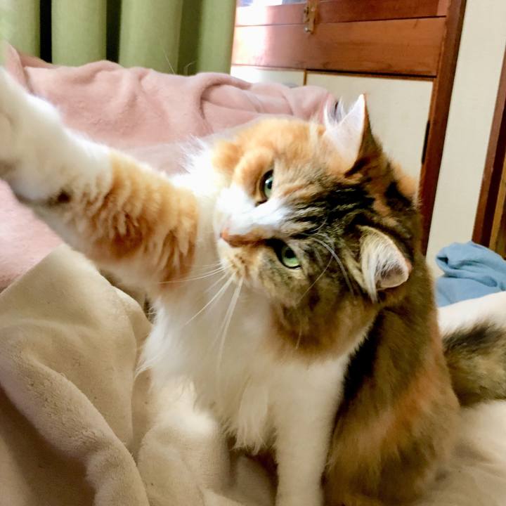 5aa2a3ad b8fc 43c3 851d e1e38921e188 1567395101343