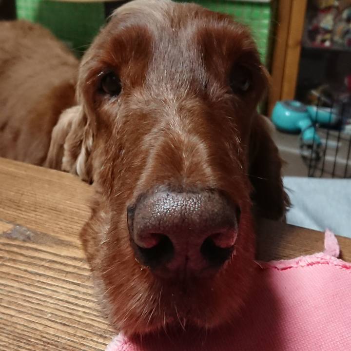 5aa2c43a 45b1 4ba7 8d03 bc1971c87776 1521641910631