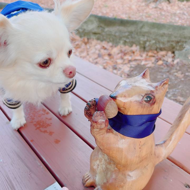 5aa2ce51 7543 428d 8b9e 851866c98261 1704185706062