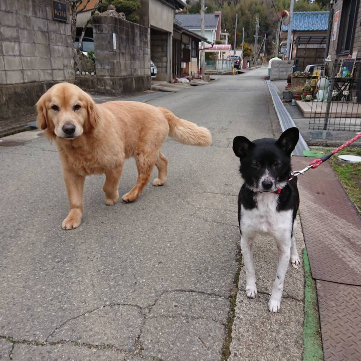 5aa2d371 8a82 4dce 8d4e 4e74b2d6afa7 1648180946272