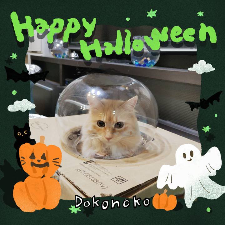 5aa2f531 2005 4ba5 a2f7 2e4d31ec82b2 1729599507066