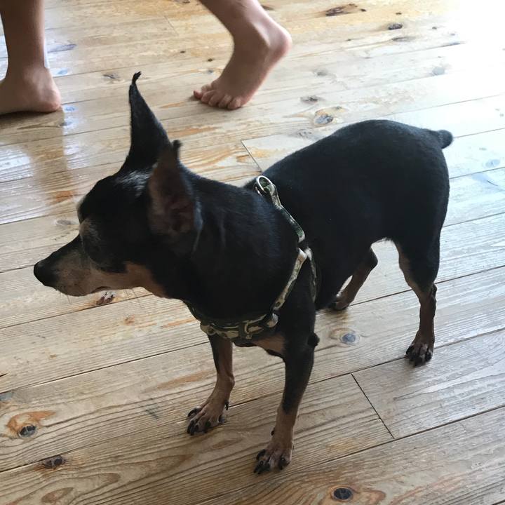 5aa304d2 f374 411e a0e5 f598e2b1861f 1565441266447