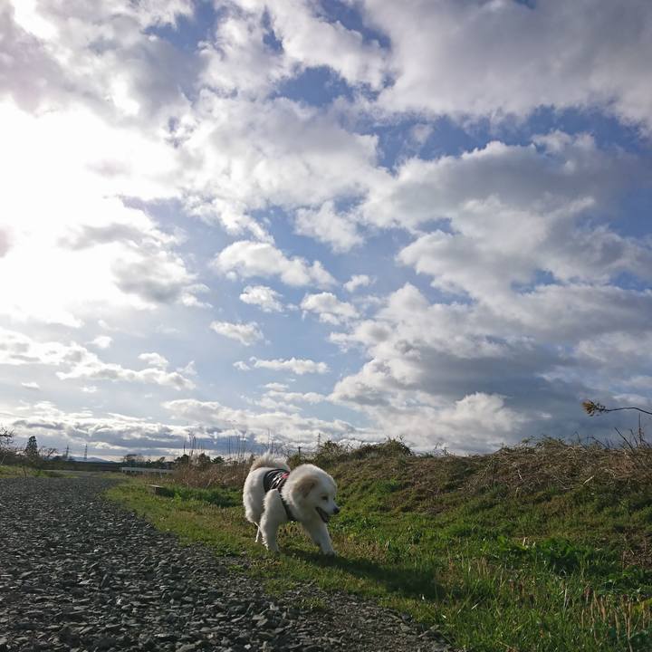 5aa3210d 19b4 46cf 980b c9bed07e84cc 1523139412602