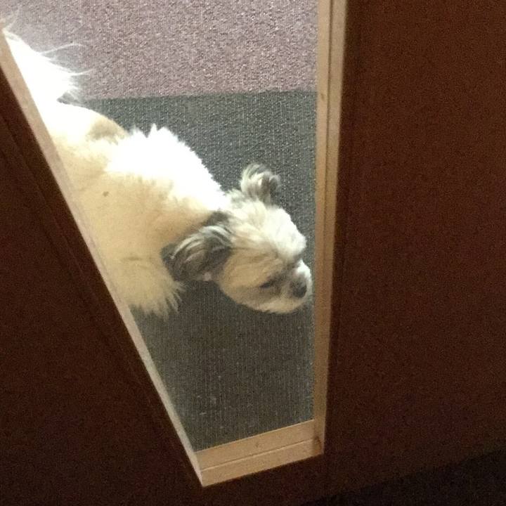 5aa35efb bb5d 4bd4 99b0 e6004237d74b 1509771325941