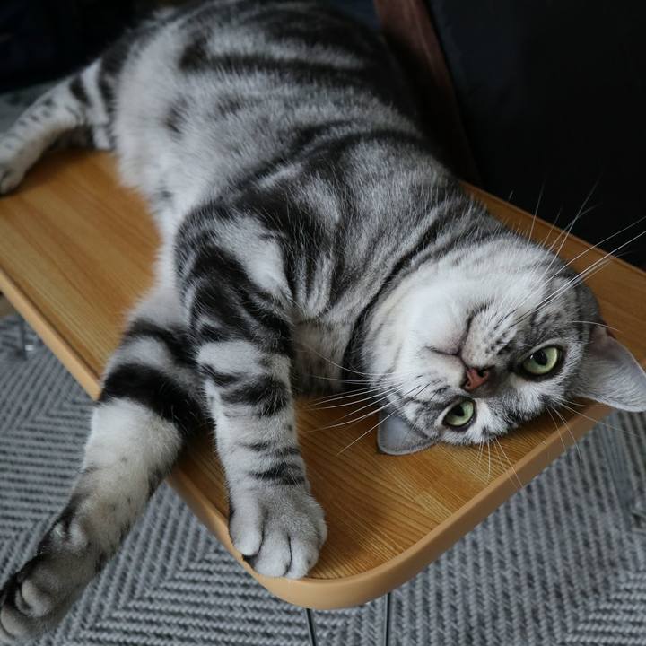 5aa383f1 2ada 43f2 ae19 a67c4061b1b3 1598871077349