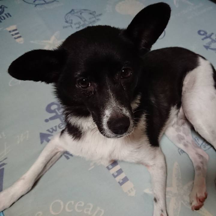 5aa3a461 d2f0 4068 aeda c67b383e1f2a 1531228620134