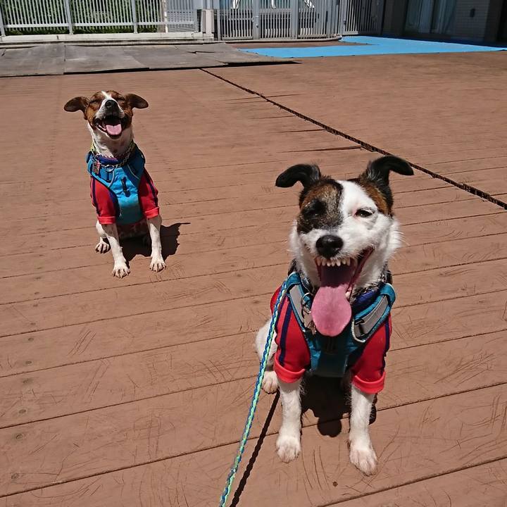 5aa3ac47 e9ea 45e8 97f7 638cd61690ed 1588836642366