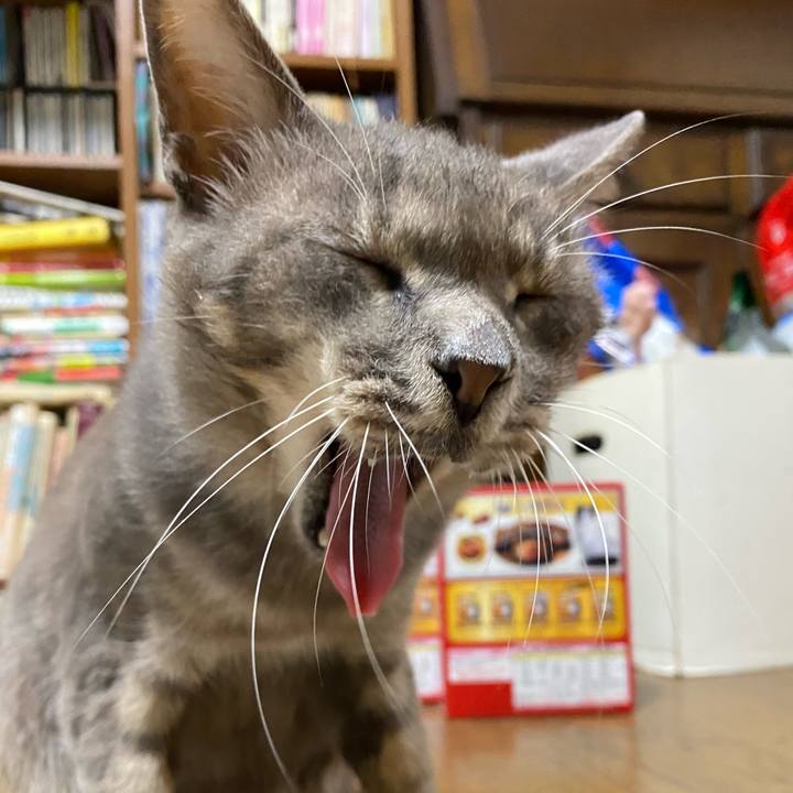 5aa3bc3e 78db 4d74 9f74 475bd33c07fd 1600044543963