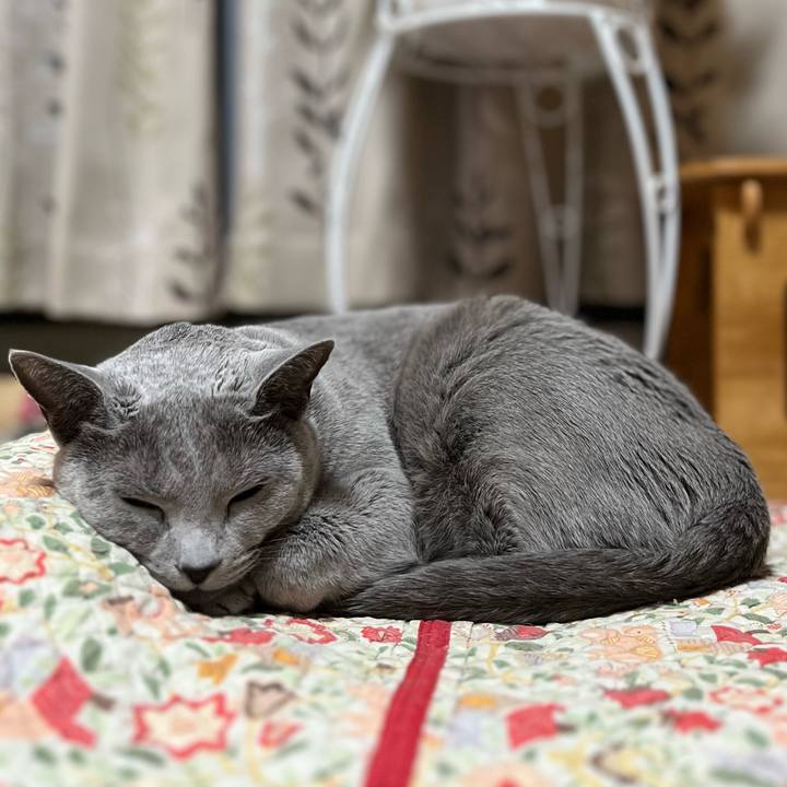 5aa3c7c7 7799 4b3b bd81 4c92843c2e9c 1674792762537