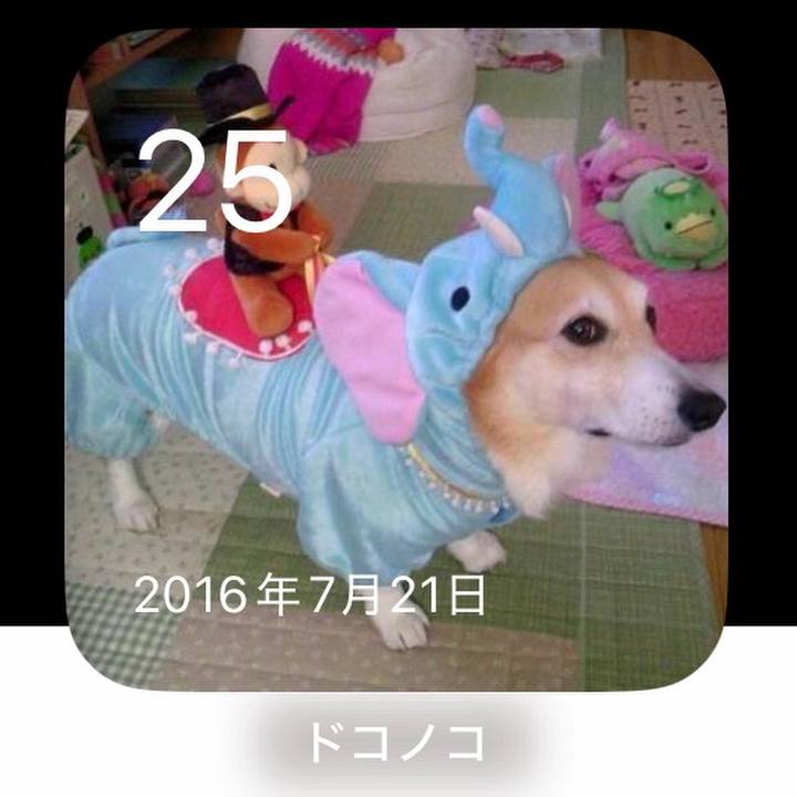 5aa40bb7 ff8d 4894 be60 83d3ffc48fa5 1753508660594