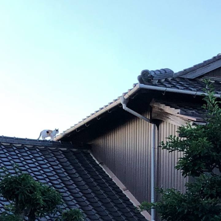 5aa41b90 9d39 473a 8290 600187172a53 1632953311072