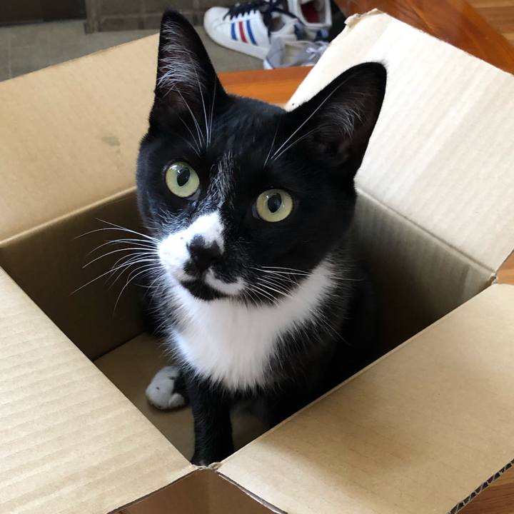 5aa446d0 c0f3 412e 9701 ee3e7db16fe0 1597895230951