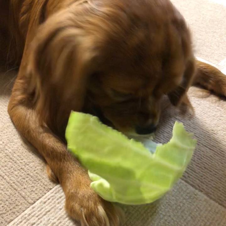 5aa4563c 4e0f 4c04 a5e7 87a70581bf44 1575584507702