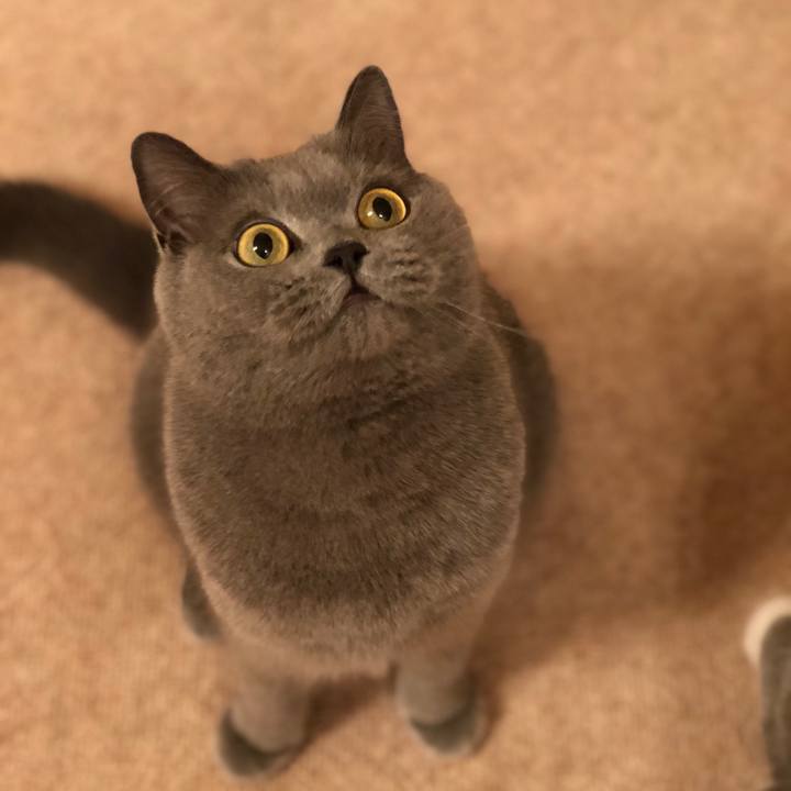 5aa4762d 497c 45bf 96d2 203624abf1bf 1522067095887