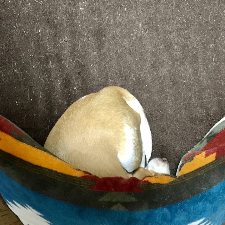 5aa47b8b b52c 4ab3 a0a9 5181f7e81e91 1548204983682