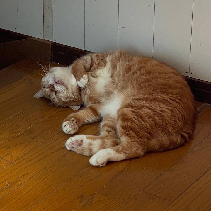 5aa4cdd3 da29 4c18 b714 a7665490ee46 1695124419361