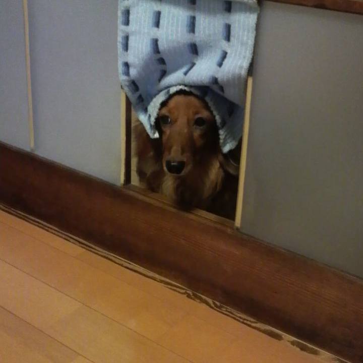 5aa4e2aa b484 4c33 a736 e510955bd478 1534996230025