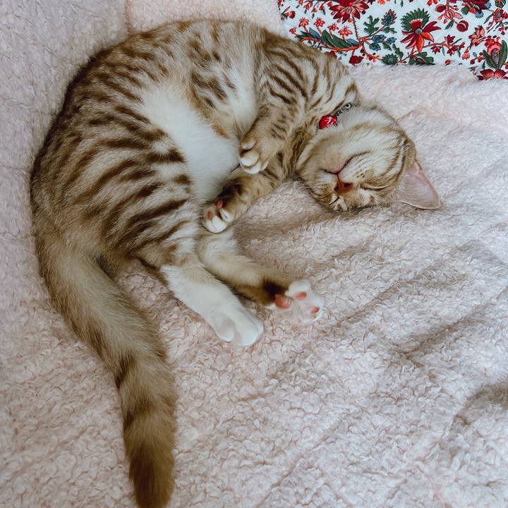 5aa50b52 1051 41a1 bf79 2cf26ee750c6 1657672865968