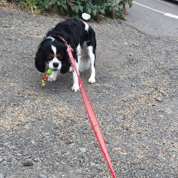 5aa539ae bad0 4c13 a046 84193accd267 1508458992355