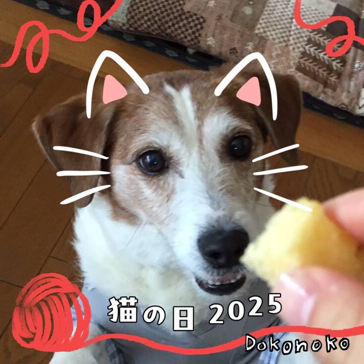 5aa5b013 e913 4956 b780 e17690384701 1740232090788