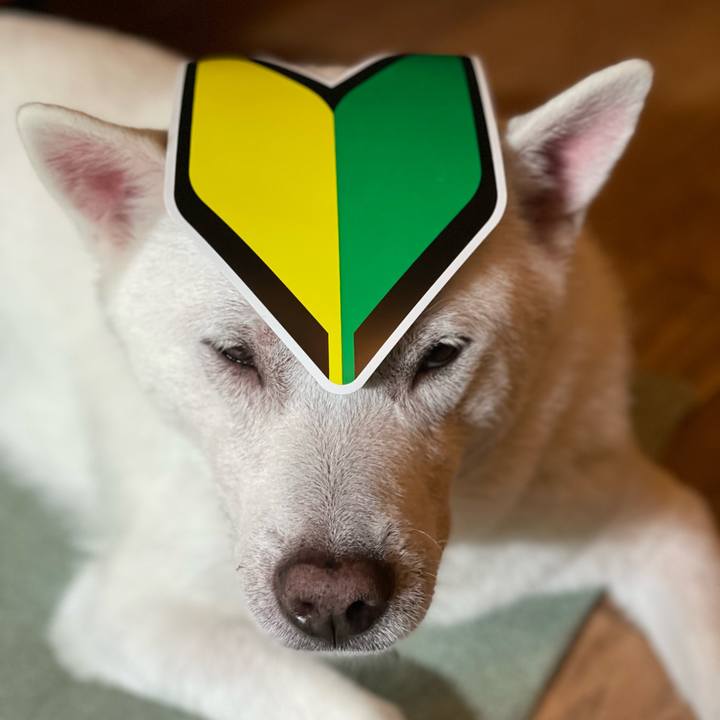 5aa5bf03 125f 4275 8cef 9bb900f081a6 1709163898071