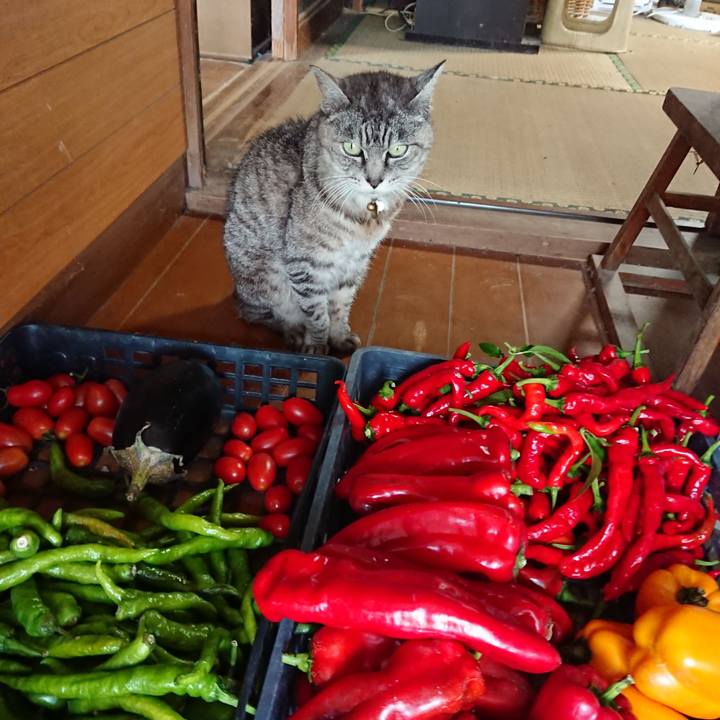 5aa5c181 c153 4079 b513 82e3224afb84 1571025214097