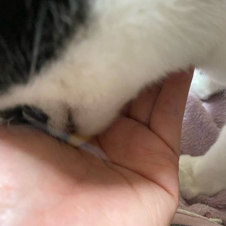 5aa5e5f3 69cd 4d0d 8b30 22bc5fff0362 1738582176341