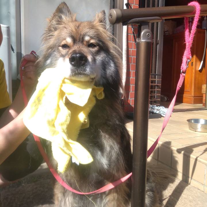 5aa5f1d4 6276 4f73 9e2b 5e3dd9a8e413 1648480675763