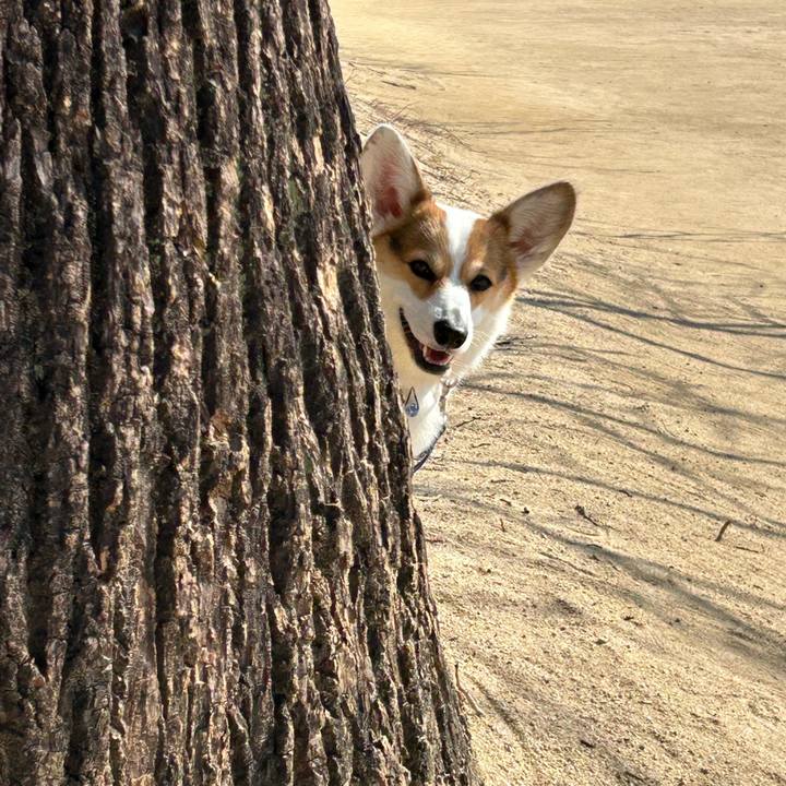 5aa656f5 8746 4fab 9041 cb4733e739a3 1771483555761