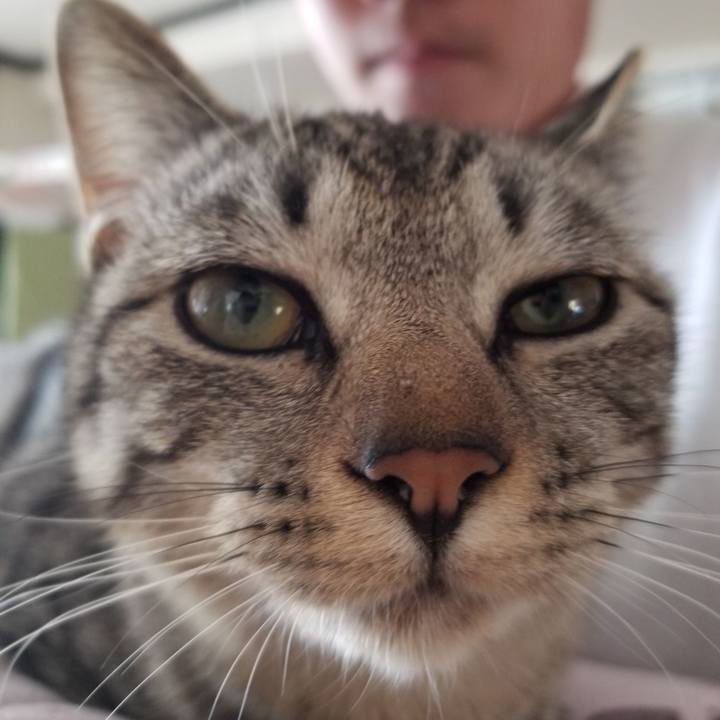 5aa66ef3 eaff 4fd1 ae74 5d037798c008 1677667037918