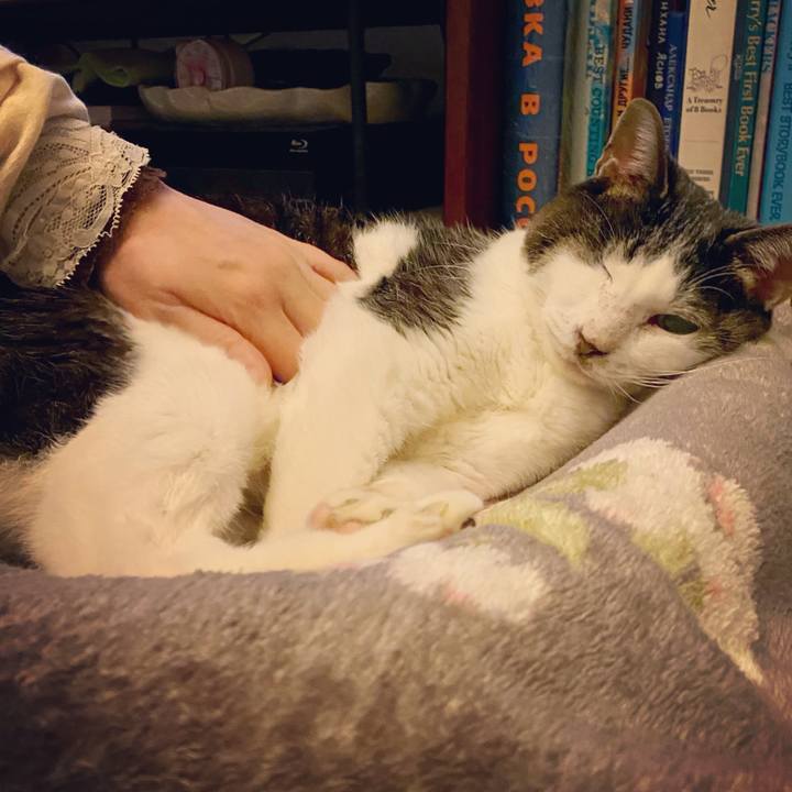 5aa66f08 b1f7 4252 b9c9 c23e89d989fd 1611236574490