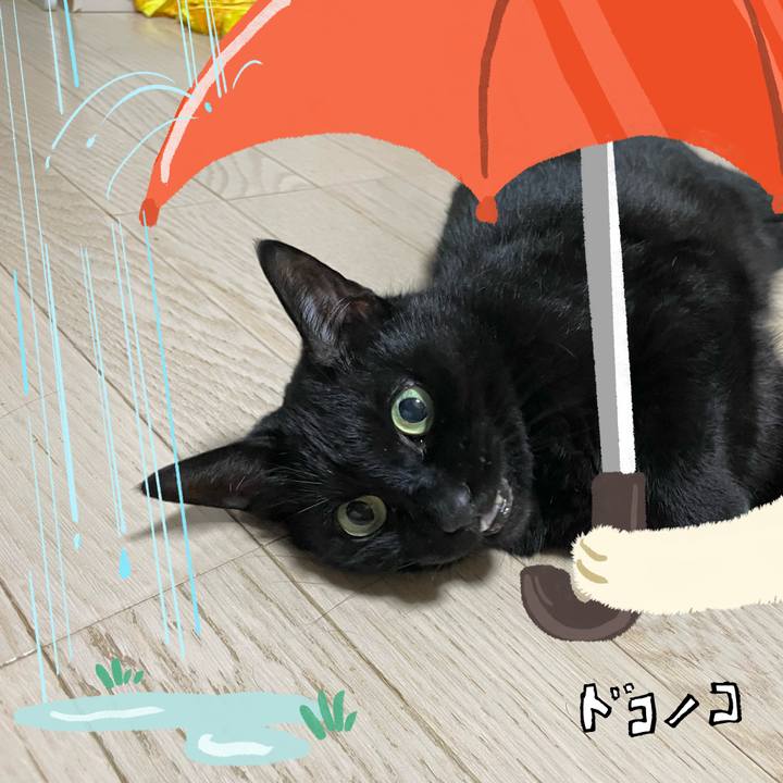 5aa68d0e 70b5 4b0e 93d1 2f15ea9a1ff6 1749303216328