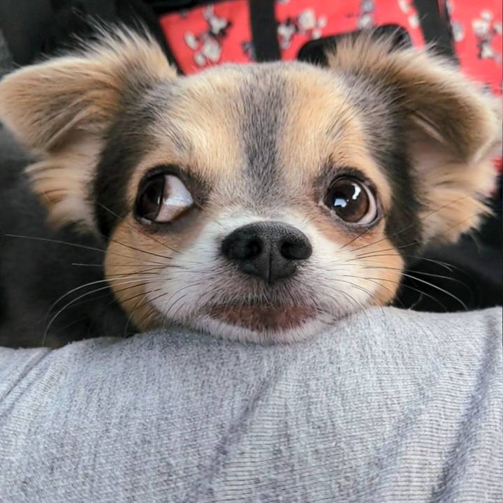 5aa703eb 34b8 4b84 b771 92a03fdc240a 1764641655020