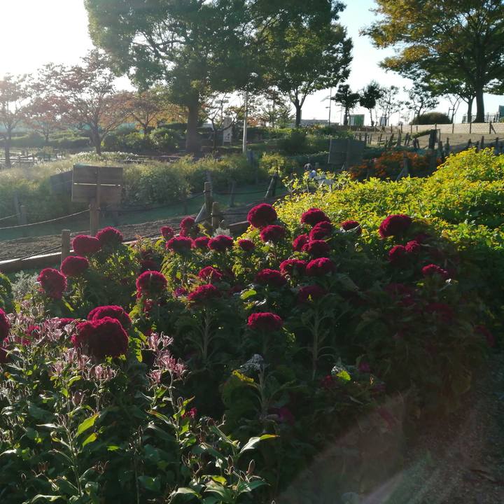 5aa73808 5df0 49d1 9476 5db9b37ab16f 1602763182065