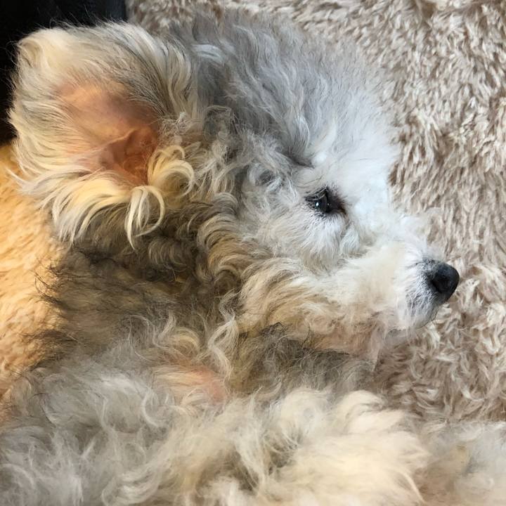 5aa74f4a c90b 42e4 9eb8 d4e90a8a55ce 1541545607588