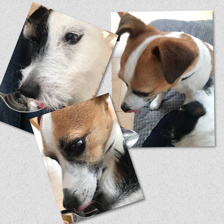 5aa7618d 7e0a 410e 9d45 47331298f66b 1527547936682