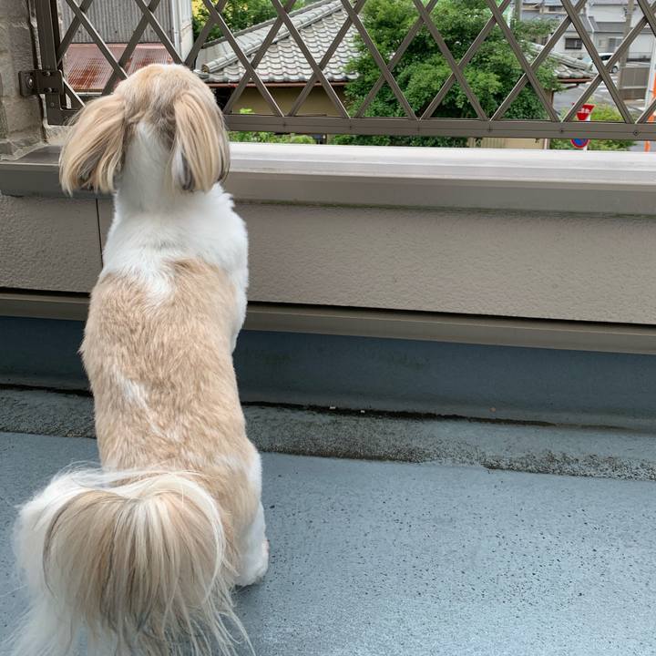 5aa777fd a1b5 4ea4 b38d df6861207d70 1592051131135