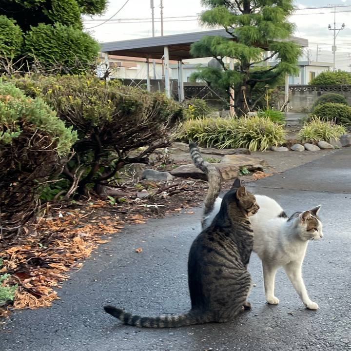 5aa7a498 0827 4e5b 8263 5c0fc3547d33 1697354025788