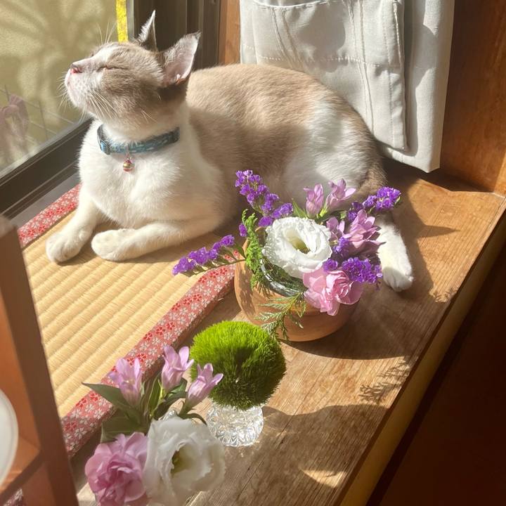 5aa7a634 dcb6 4892 96df 4d1a91f53e6a 1763183863782