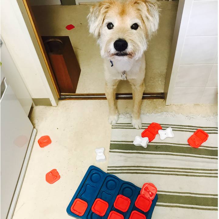 5aa7b330 7bdc 4d1b ab48 a96cc7c78db5 1595488017299