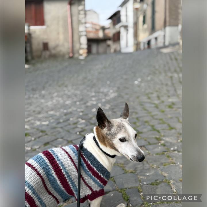 5aa7d84f 9e5a 4faa b2d2 a5fa4b9b7619 1772916925289