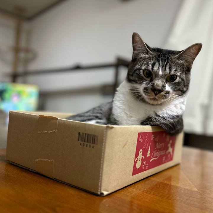 5aa7e314 f986 4b59 843b 25d5ac515019 1685450118034