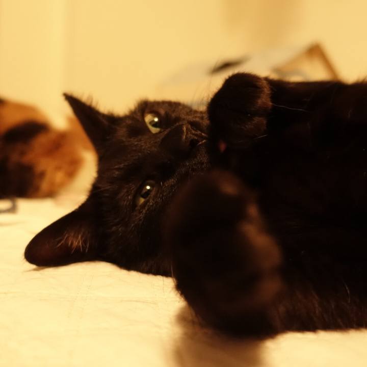 5aa80659 1c6b 41ab b674 098c9028b280 1515253264700