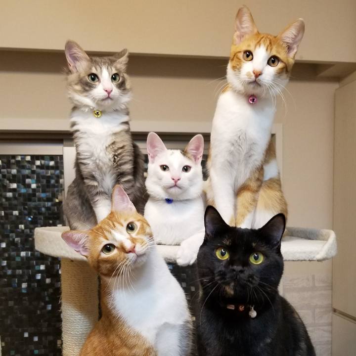 5aa8136a 04b2 4e1a 96a7 a1563ebff57b 1511602306250