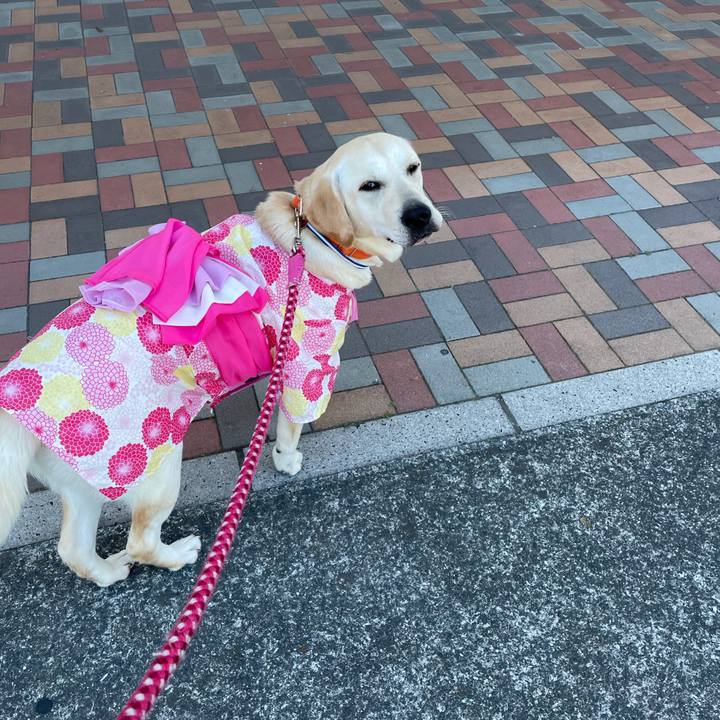 5aa86144 507f 4b4b 9359 435330f2a194 1628316181562