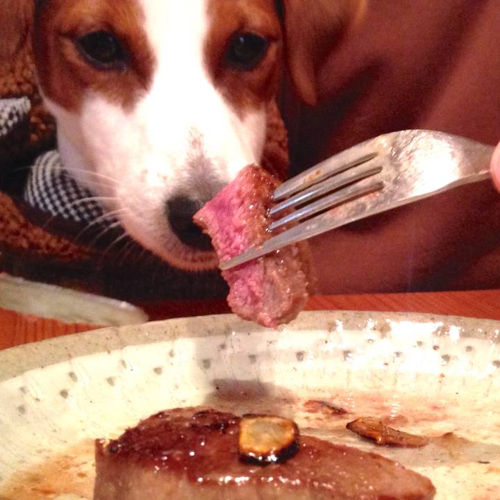 5aa865a3 b036 419a 8c9f a6cdf8bd0d9c 1517297605763