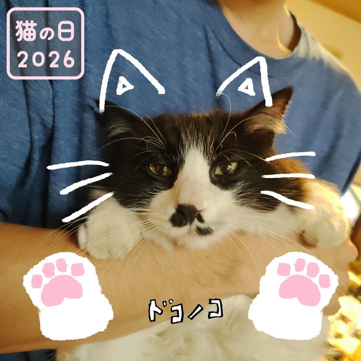 5aa8ba9f 924f 47df 9189 3d1e4cad2155 1771759549000