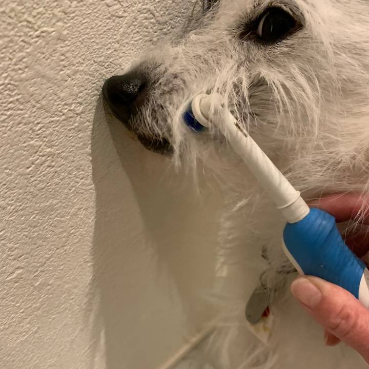 5aa8d54c 1ed0 4e12 bec4 fa3b1c23789f 1674995172346