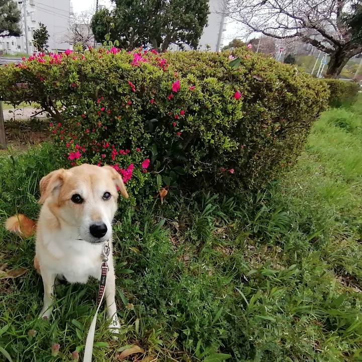 5aa8d9c5 27b4 4b2e bd31 3c16de37c8b9 1585541723988